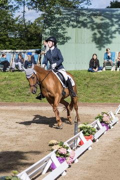 Bild 456 - Pony Akademie Turnier